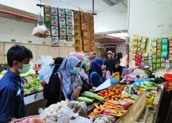 Pastikan Pangan Bebas Zat Kimia, DKP Makassar Uji Sampel Pangan di Pasar Sentral