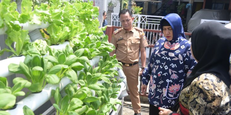 Ketua TP PKK Kota Makassar dan Kadis Ketapang Tinjau Lorong Wisata di Dua Kecamatan