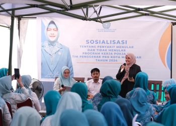 PKK Kota Makassar Tingkatkan Kesadaran Warga Tentang Penyakit Menular dan Tidak Menular