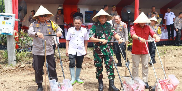 Polda Sulsel Sediakan 3.323 Hektar Lahan Produktif Dalam Mendukung Ketahanan Pangan di Provinsi Sulawesi Selatan