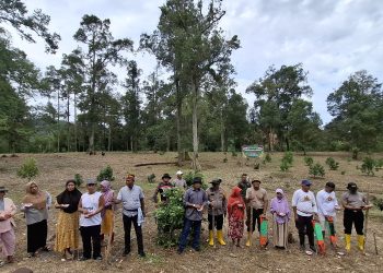 Dukung Program Presiden, Polres Palopo Bersama Pemerintah Setempat Tanam Jagung