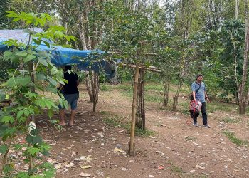 Polisi Bongkar Arena Sabung Ayam di Desa Tamaona Kindang