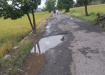 LBH Suara Panrita Keadilan soroti  Jalan Rusak Parah di Barombong Gowa. Pemda Gowa Dinilai Tidak Peduli