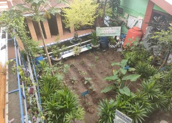 Potret SMPN 2 Makassar dari Atas Mirip Kebun Teh
