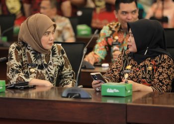Aliyah Mustika Ilham Perkuat Sinergi Pusat, Provinsi, dan Daerah Cegah Stunting