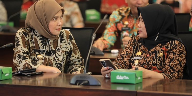 Aliyah Mustika Ilham Perkuat Sinergi Pusat, Provinsi, dan Daerah Cegah Stunting