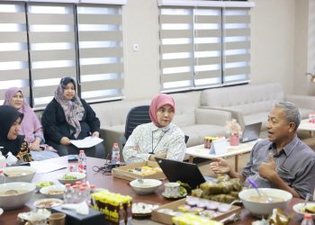 Aliyah Mustika Ilham Tinjau RSUD Daya Bersama Kementerian Kesehatan RI, Perjuangkan Layanan Kesehatan