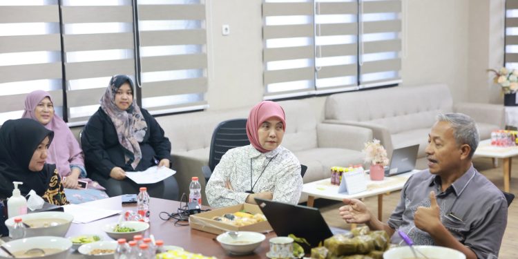Aliyah Mustika Ilham Tinjau RSUD Daya Bersama Kementerian Kesehatan RI, Perjuangkan Layanan Kesehatan