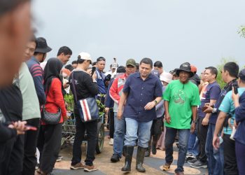 Hadiri Penanaman Mangrove, Walikota Makassar Tekankan Ini Untuk Lingkungan dan Ekonomi