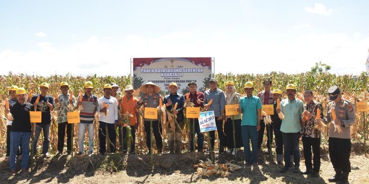 Kapolres Bulukumba Ikut Panen Jagung Serentak di Kecamatan Gantarang