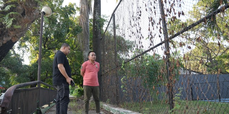 Wali Kota Munafri Tinjau Fasilitas Olahraga Terbengkalai di Kawasan Karebosi