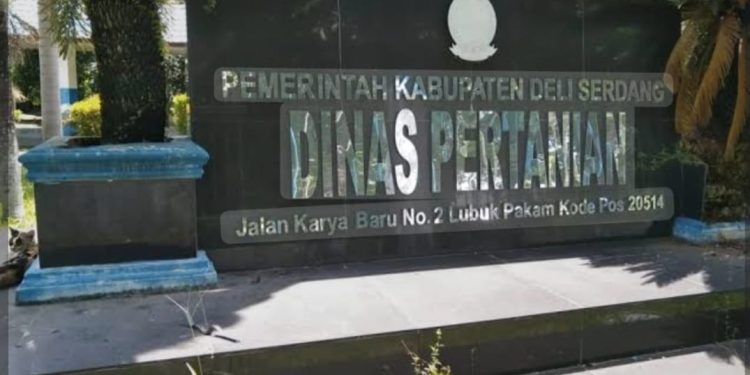 PLT Kabid Sarana dan Prasarana Diduga Sabotase Ketahanan Pangan Nasional di Batang Kuis