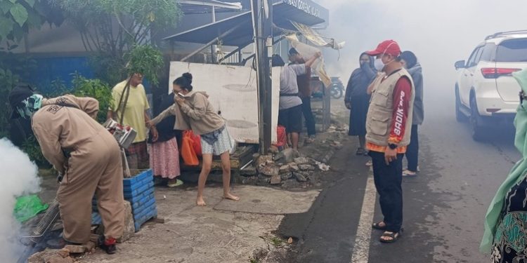 Tiga Warga Kelurahan Mattoangin Terjangkit DBD, Dinkes Makassar Lakukan Fogging dan Edukasi PSN