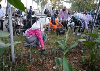 Bersama Pengurus TP PKK, Melinda Aksa Bersihkan Sampah di Kawasan Pantai Losari