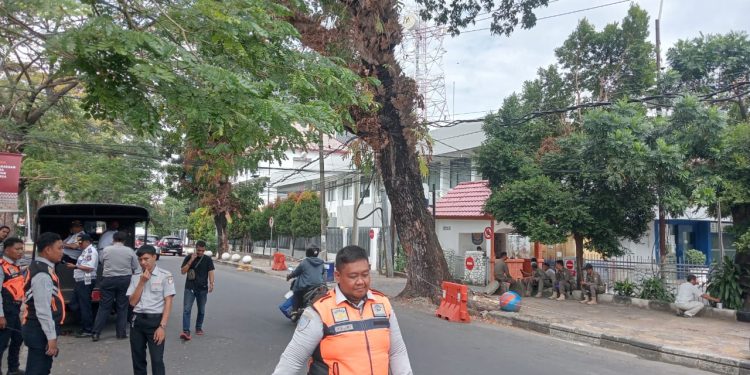 Bukan Kaleng-Kaleng, Dishub Gercep Tertipkan Parkir Sembraut di Samping Gedung Balaikota