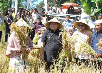 Lewat “Abbulo Sibatang”: Pemkot, Petani dan Penyuluh Siap Genjot Produksi Padi