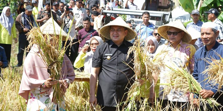 Lewat “Abbulo Sibatang”: Pemkot, Petani dan Penyuluh Siap Genjot Produksi Padi