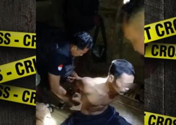 Polisi Ringkus Residivis Pencuri Sapi, 3 Ekor Sapi Berhasil Diamankan