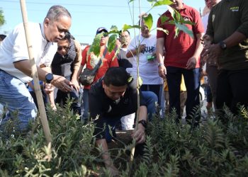 Rawat Lingkungan, Munafri – Melinda Hadiri Penanaman Tabebuya di Lakukan GPIB