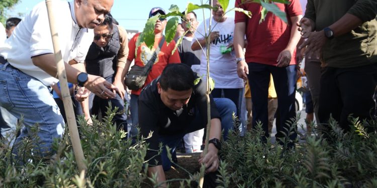 Rawat Lingkungan, Munafri – Melinda Hadiri Penanaman Tabebuya di Lakukan GPIB