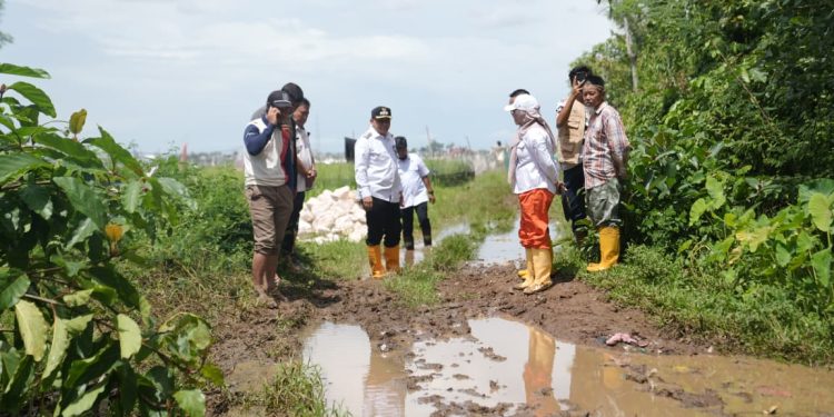 Wali Kota Munafri Turun Langsung ke Lokasi Lihat Akses Agar Perbaikan Jalan di Lokasi Terisolir
