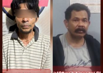 Resahkan Warga, Otak Pelaku Pencurian Belasan Sapi di Bulukumba Akhirnya Ditangkap Polisi