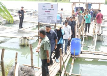 Panen Perdana di Maccini Sombala, Wali Kota Makassar Harap Budidaya Berkelanjutan di Makassar