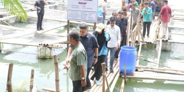 Panen Perdana di Maccini Sombala, Wali Kota Makassar Harap Budidaya Berkelanjutan di Makassar