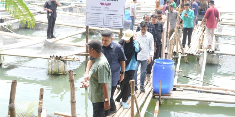Panen Perdana di Maccini Sombala, Wali Kota Makassar Harap Budidaya Berkelanjutan di Makassar