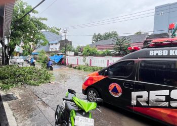 Pohon Tumbang di Jalan Abdesir Lumpuhkan Lalu Lintas, TRC DELTA BPBD Makassar Gerak Cepat Buka Akses