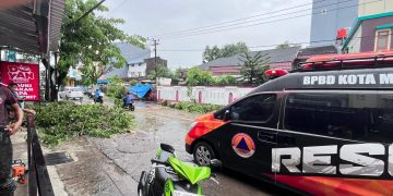 Pohon Tumbang di Jalan Abdesir Lumpuhkan Lalu Lintas, TRC DELTA BPBD Makassar Gerak Cepat Buka Akses