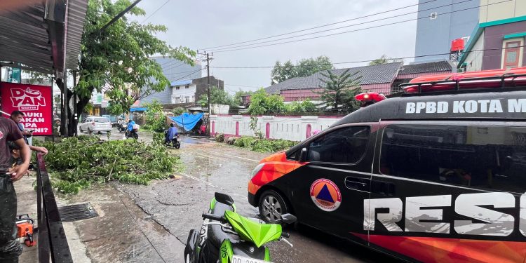 Pohon Tumbang di Jalan Abdesir Lumpuhkan Lalu Lintas, TRC DELTA BPBD Makassar Gerak Cepat Buka Akses