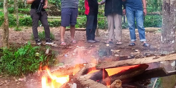 Berantas Judi, Polsek Bulukumpa Bongkar dan Bakar Arena Sabung Ayam di Barugariattang