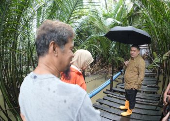 Di Tengah Hujan, Appi Tinjau Jembatan Lapuk di Barombong, Pembangunan Segera Dikerjakan