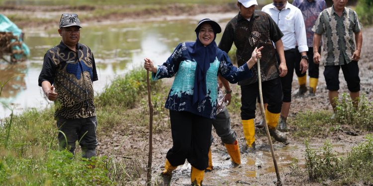 Wali Kota Munafri Respon Aspirasi Warga, Rp4 Miliar untuk Perbaikan Jalan di Romang Tongayya