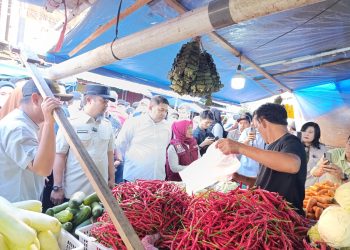 Pemerintah Turun ke Pasar, Stabilitas Harga Pangan Sulsel Terpantau Aman