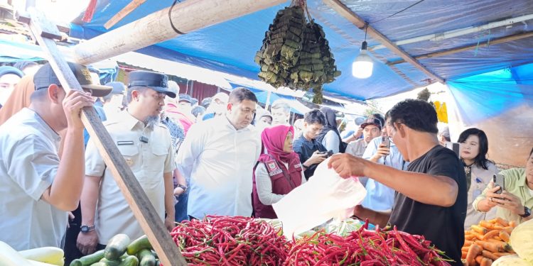 Pemerintah Turun ke Pasar, Stabilitas Harga Pangan Sulsel Terpantau Aman