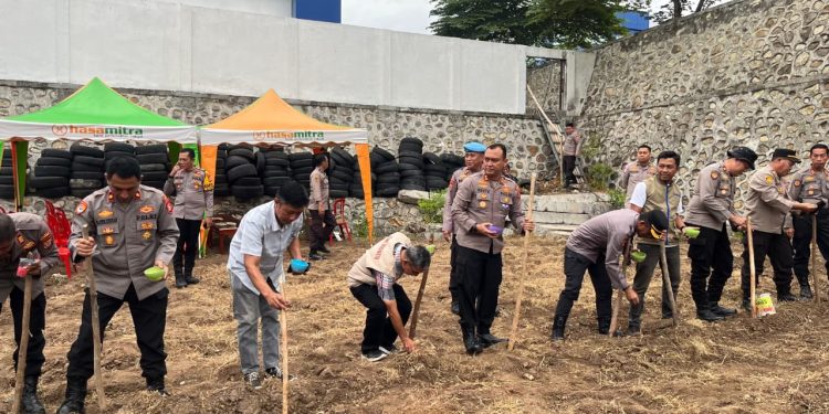 Kegiatan Penanaman Jagung Serentak di Bulukumba, Dipimpin Langsung Kapolres dan Jajaran TNI-Polri
