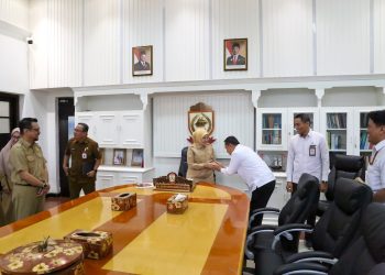Aliyah Mustika Ilham Dukung Sensus Ekonomi 2026, Data Jadi Fondasi Pembangunan