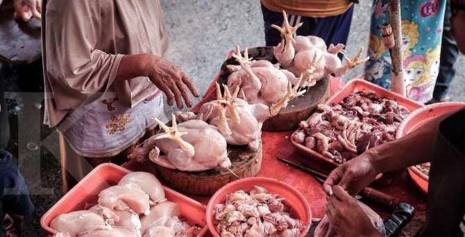 Sehari Jelang Idul Fitri, Harga Ayam di Pasar Senggol Tembus Rp85 Ribu Perekor – Masyarakat Tetap Beli Meski Terkejut