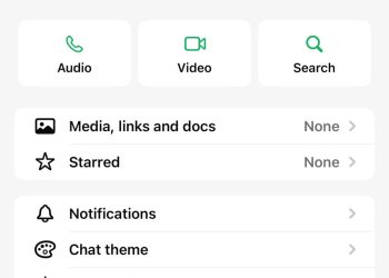 Waspada Penipuan Catut Nama Aliyah Mustika Ilham, Modus Berkedok Sumbangan Masjid