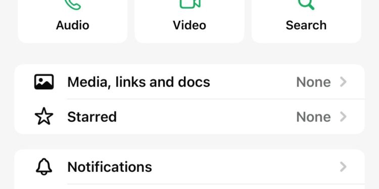 Waspada Penipuan Catut Nama Aliyah Mustika Ilham, Modus Berkedok Sumbangan Masjid
