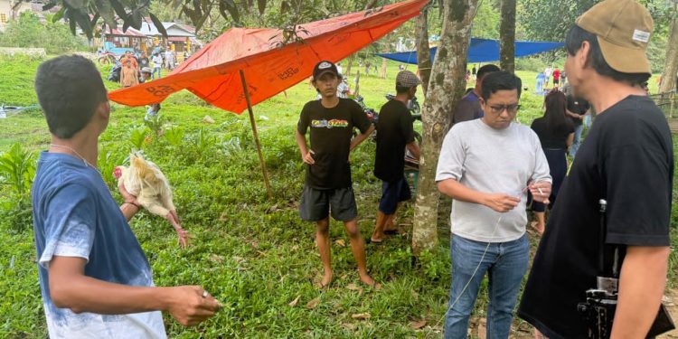 Penindakan Tegas Polres Palopo, Bongkar Arena Judi Sabung Ayam di Wara Barat Palopo