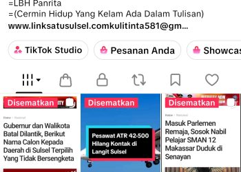 Dengan 40 Ribu Followers, Akun TikTok Kulitinta Berperan Sebagai Sarana Edukasi dan Berita Pemerintah!