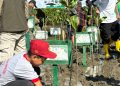 Hari Bumi 2026, SD Negeri Pongtiku 2 Gelar Kegiatan Konservasi Mangrove Camp untuk Cinta Lingkungan!