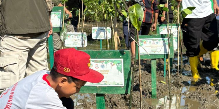 Hari Bumi 2026, SD Negeri Pongtiku 2 Gelar Kegiatan Konservasi Mangrove Camp untuk Cinta Lingkungan!