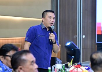 Pengamat: Pemerintahan Munafri–Aliyah Efektif, Kinerja Diakui Nasional dan Kepuasan Publik Tinggi