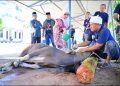 PDAM Makassar Bagikan Daging Kurban ke Warga dan Panti Asuhan Idul Adha 1447 H