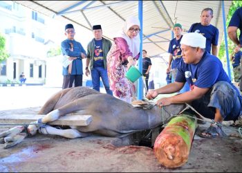 PDAM Makassar Bagikan Daging Kurban ke Warga dan Panti Asuhan Idul Adha 1447 H