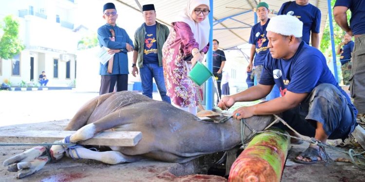 PDAM Makassar Bagikan Daging Kurban ke Warga dan Panti Asuhan Idul Adha 1447 H